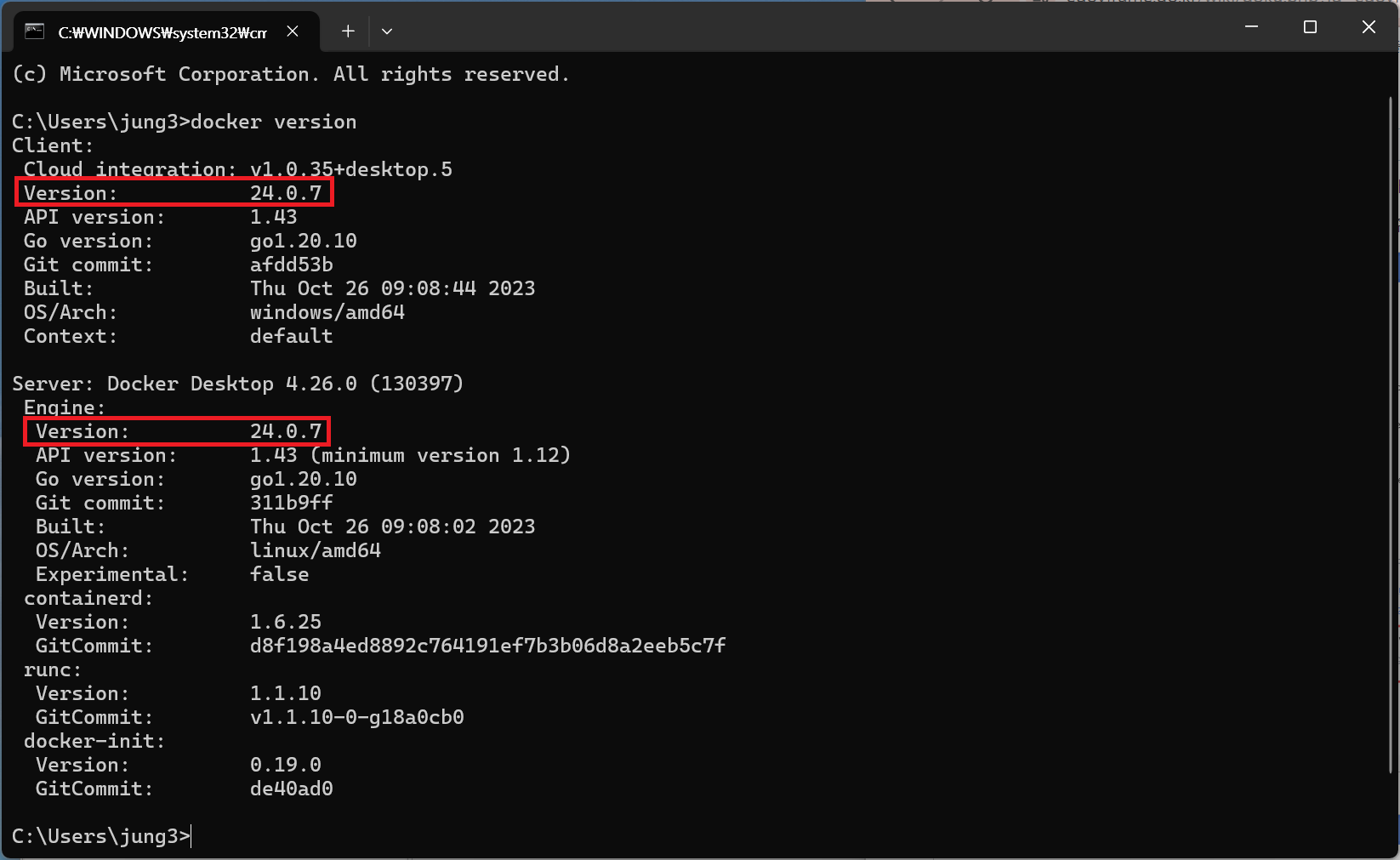 Docker 버전 확인
