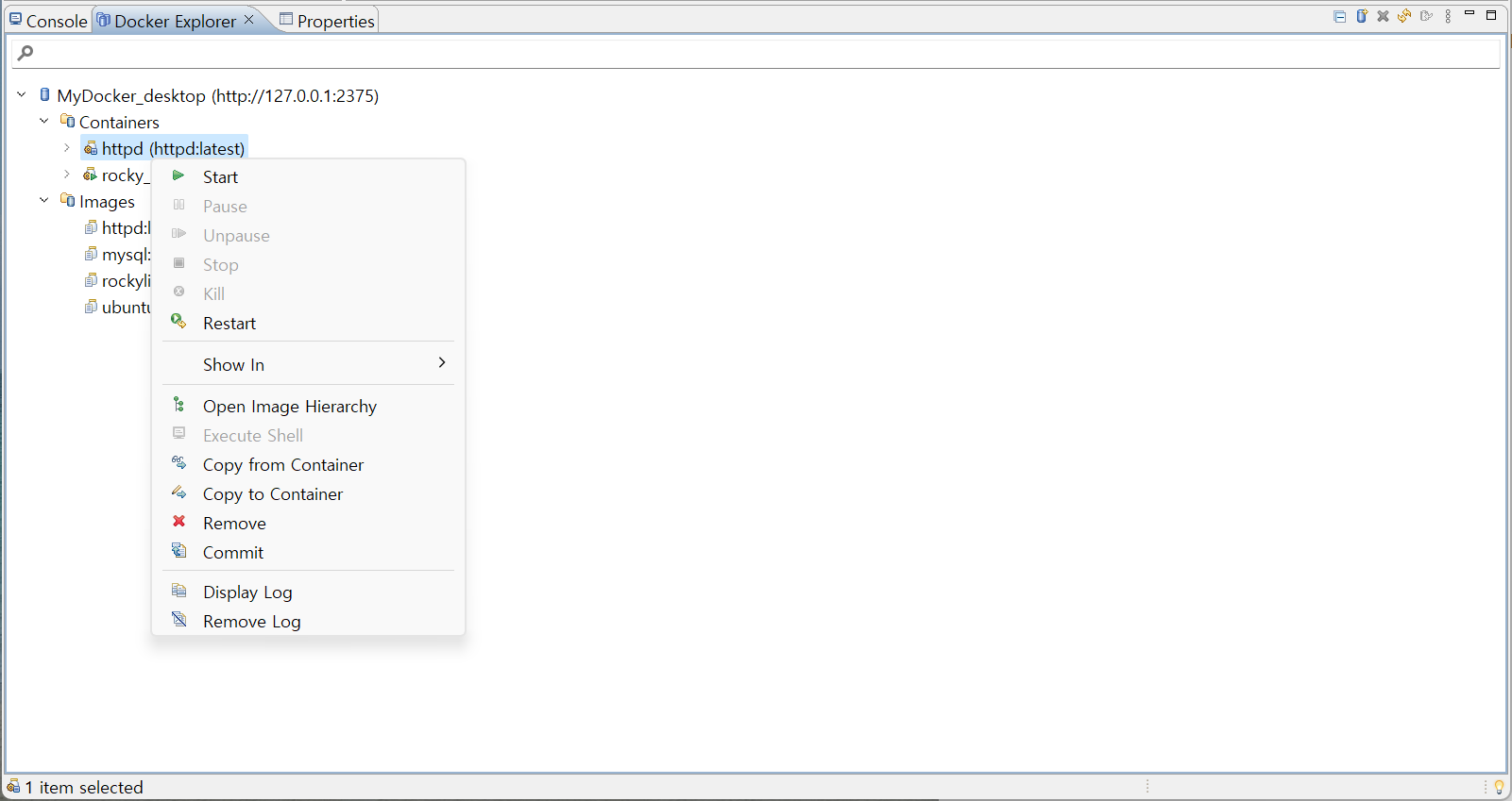 Docker 탐색기 컨테이너용