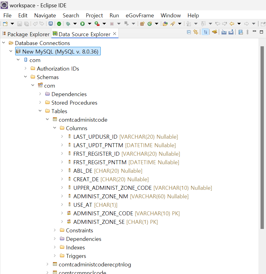 Database Source Explorer View
