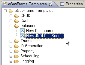 New JNDI DataSource 선택